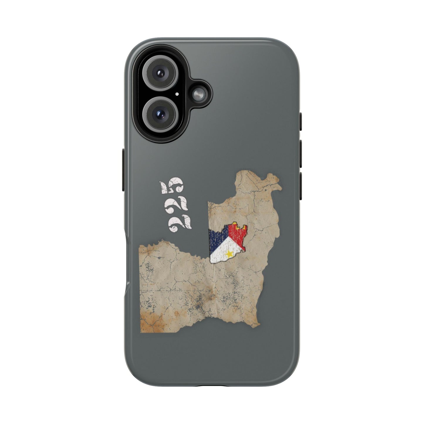 Area Code 225 Cajun Phone Case