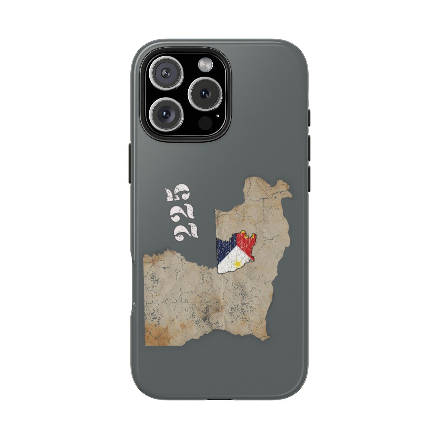 Area Code 225 Cajun Phone Case