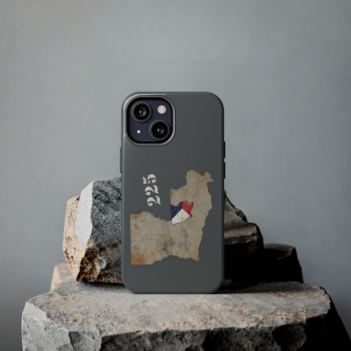 Area Code 225 Cajun Phone Case