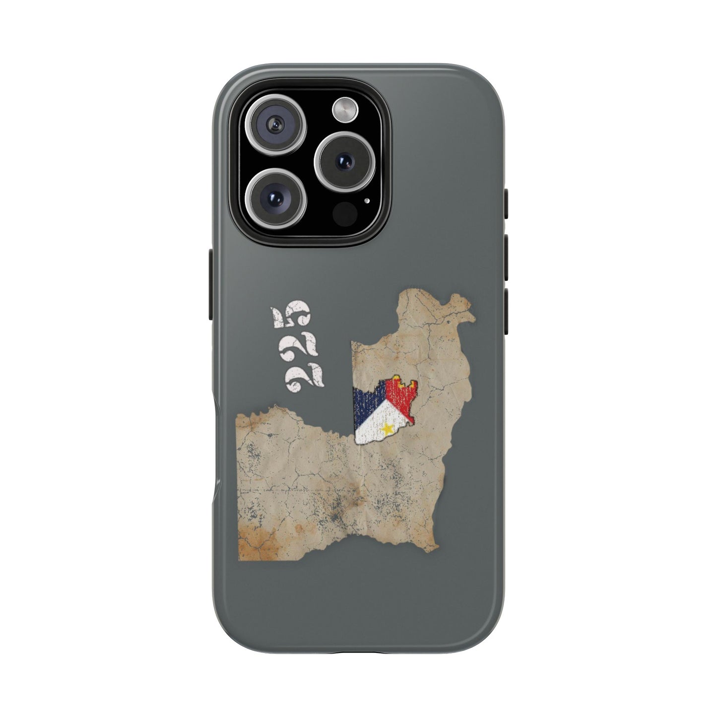 Area Code 225 Cajun Phone Case
