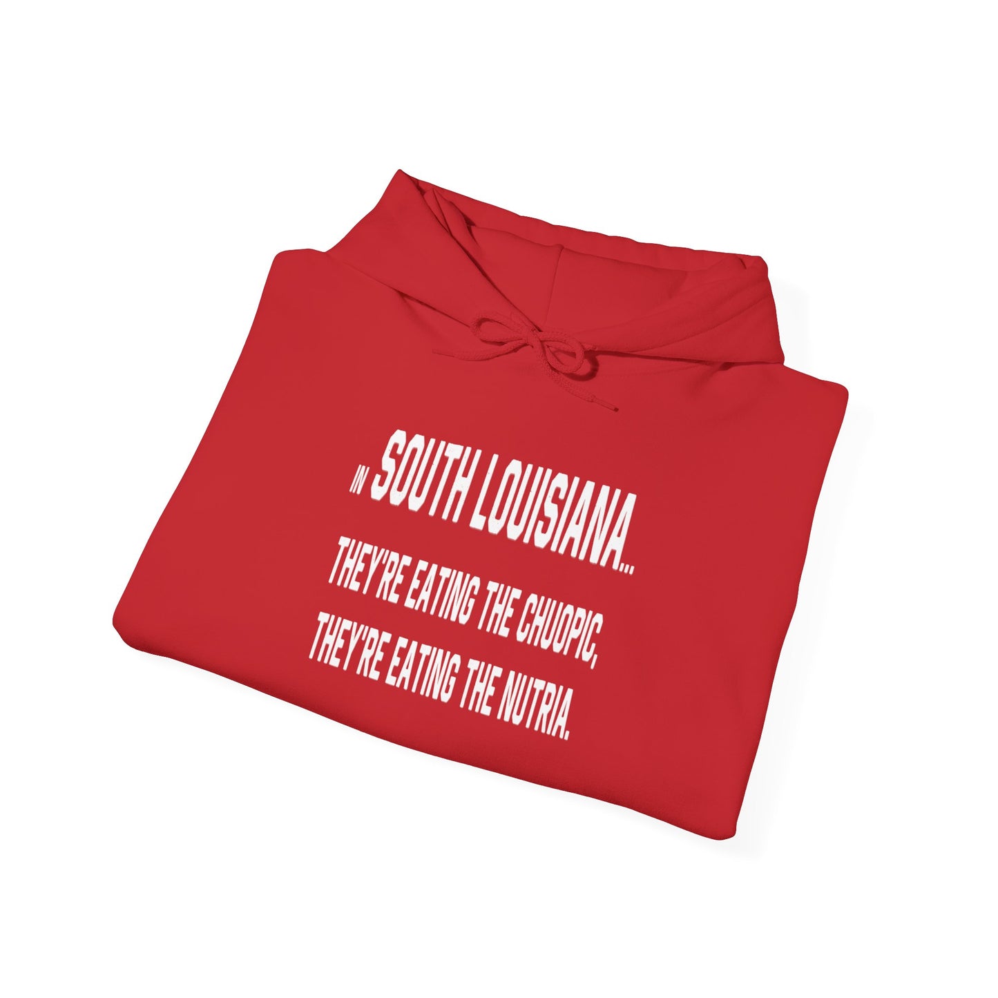 south-of-interstate-10-cajun-store-cajuns-are-eating-the-choupic-cajun-hoodie