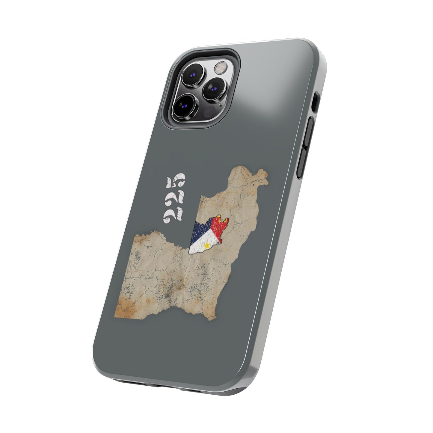 Area Code 225 Cajun Phone Case