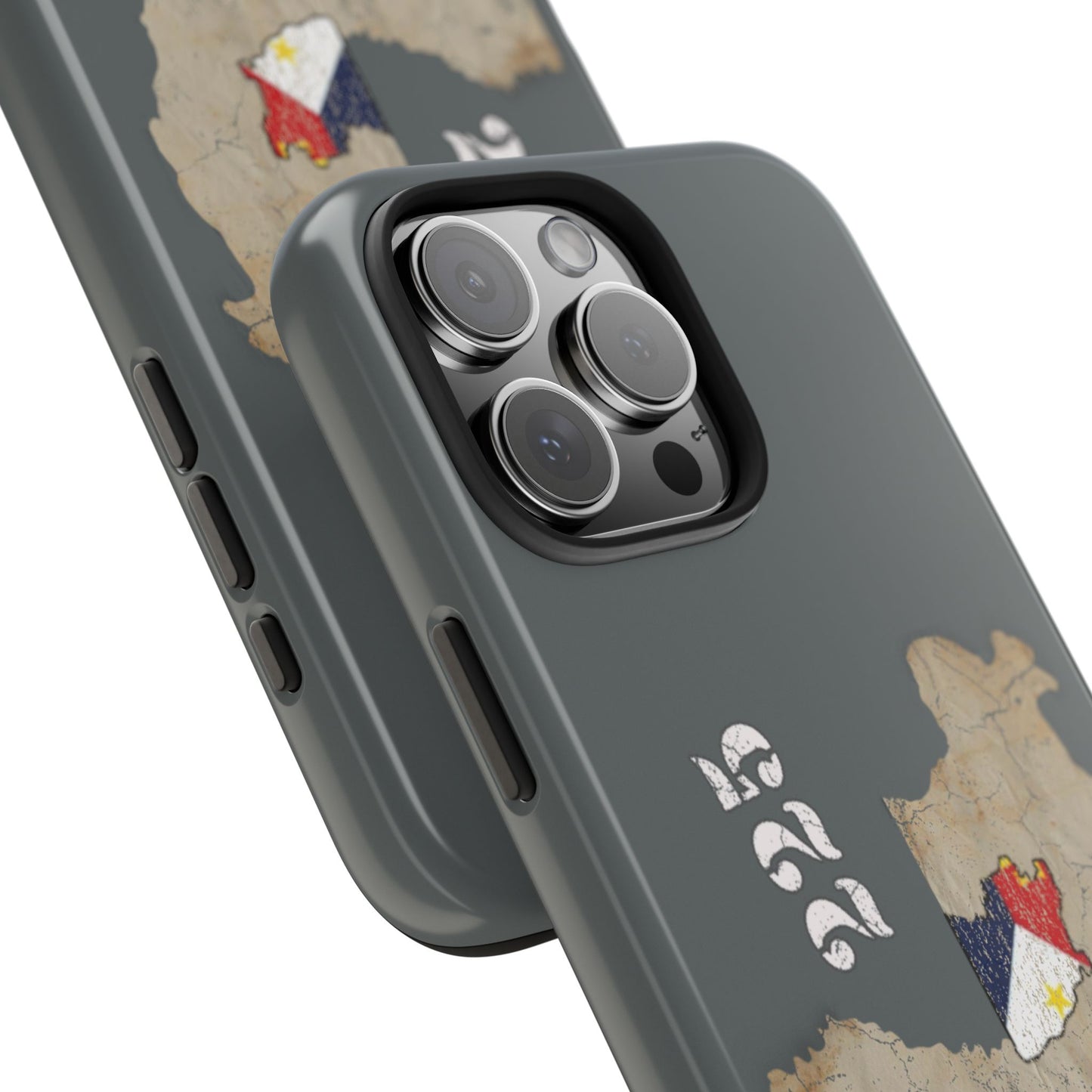 Area Code 225 Cajun Phone Case