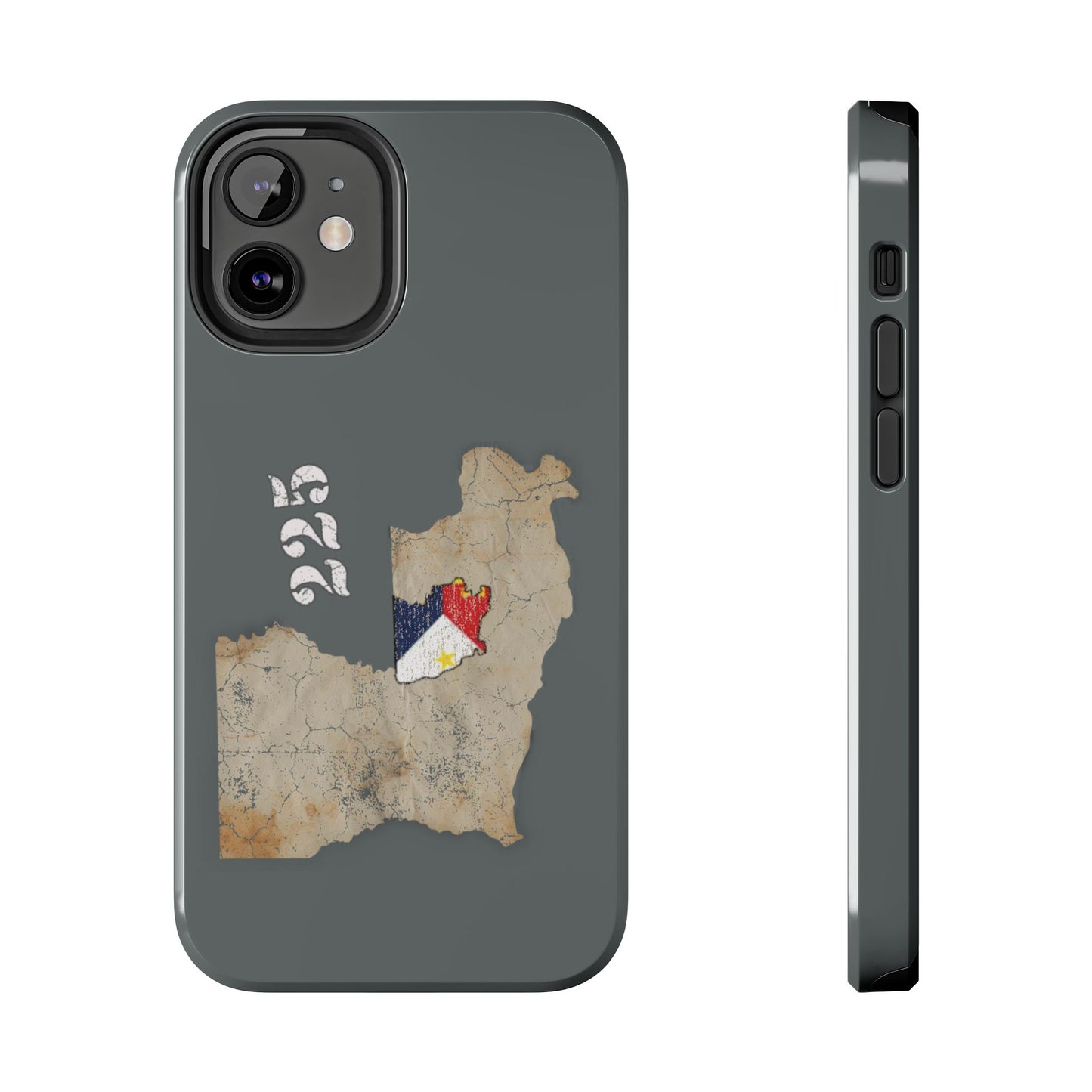 Area Code 225 Cajun Phone Case