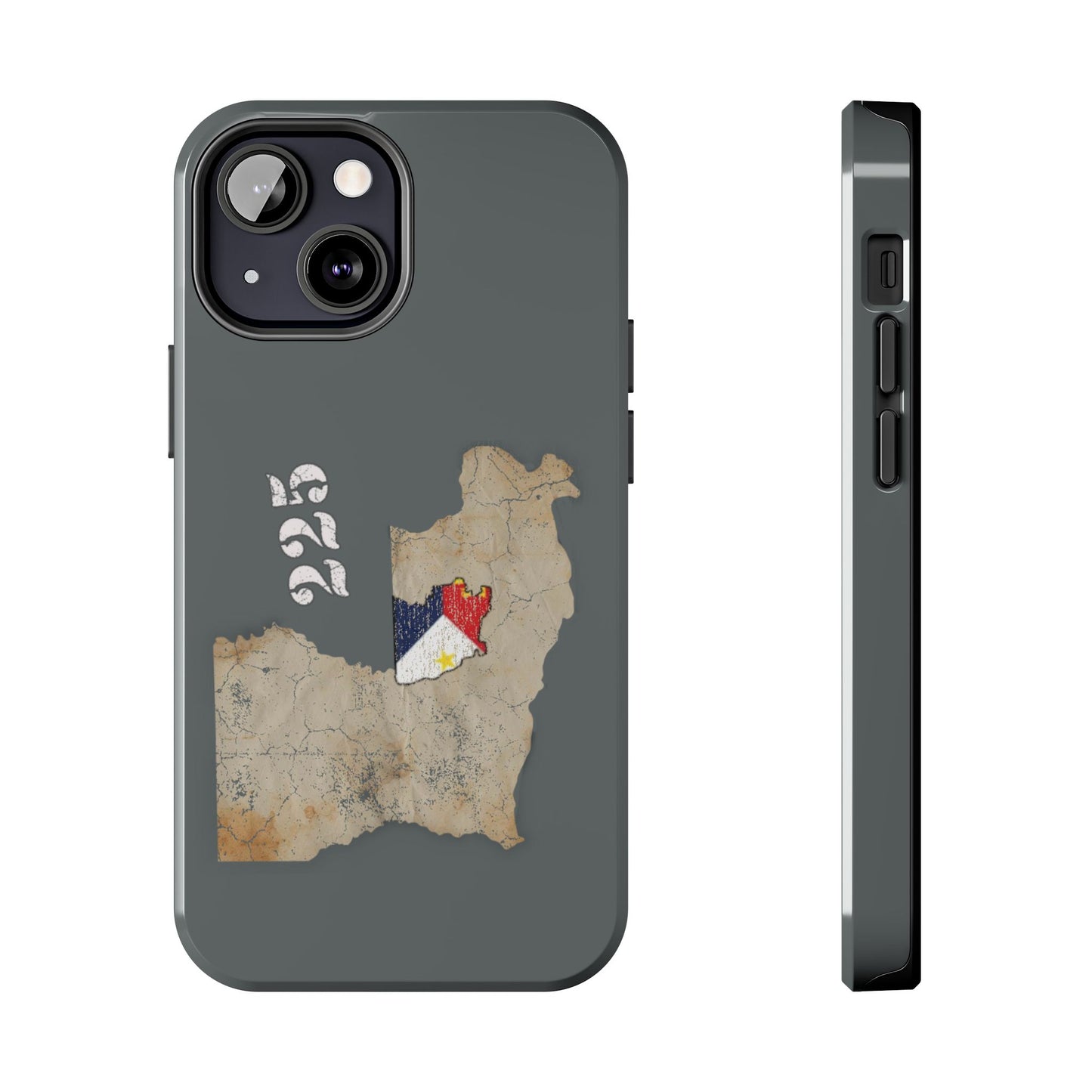 Area Code 225 Cajun Phone Case