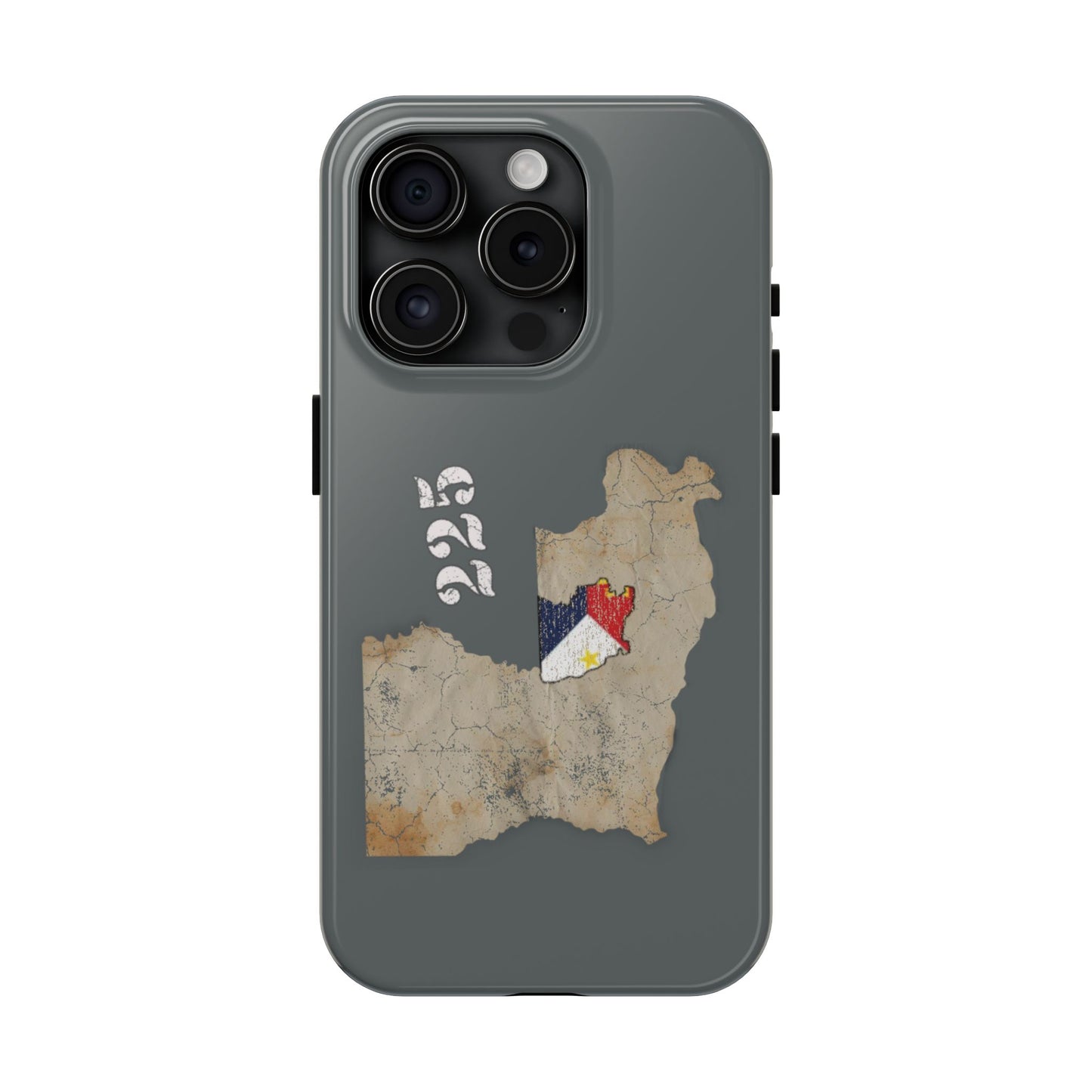 Area Code 225 Cajun Phone Case