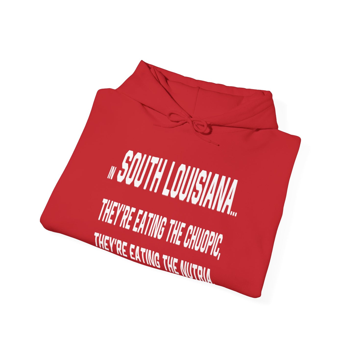 Cajuns, They're Eating the Choupic Hoodie