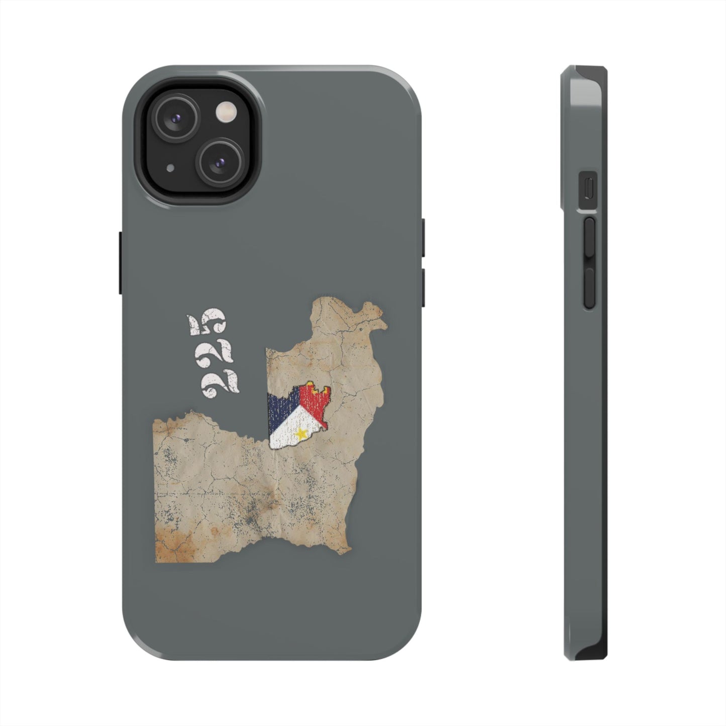 Area Code 225 Cajun Phone Case