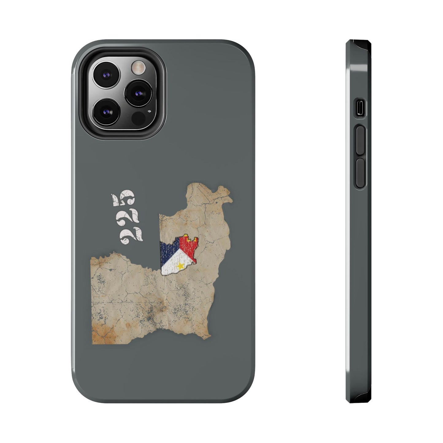 Area Code 225 Cajun Phone Case