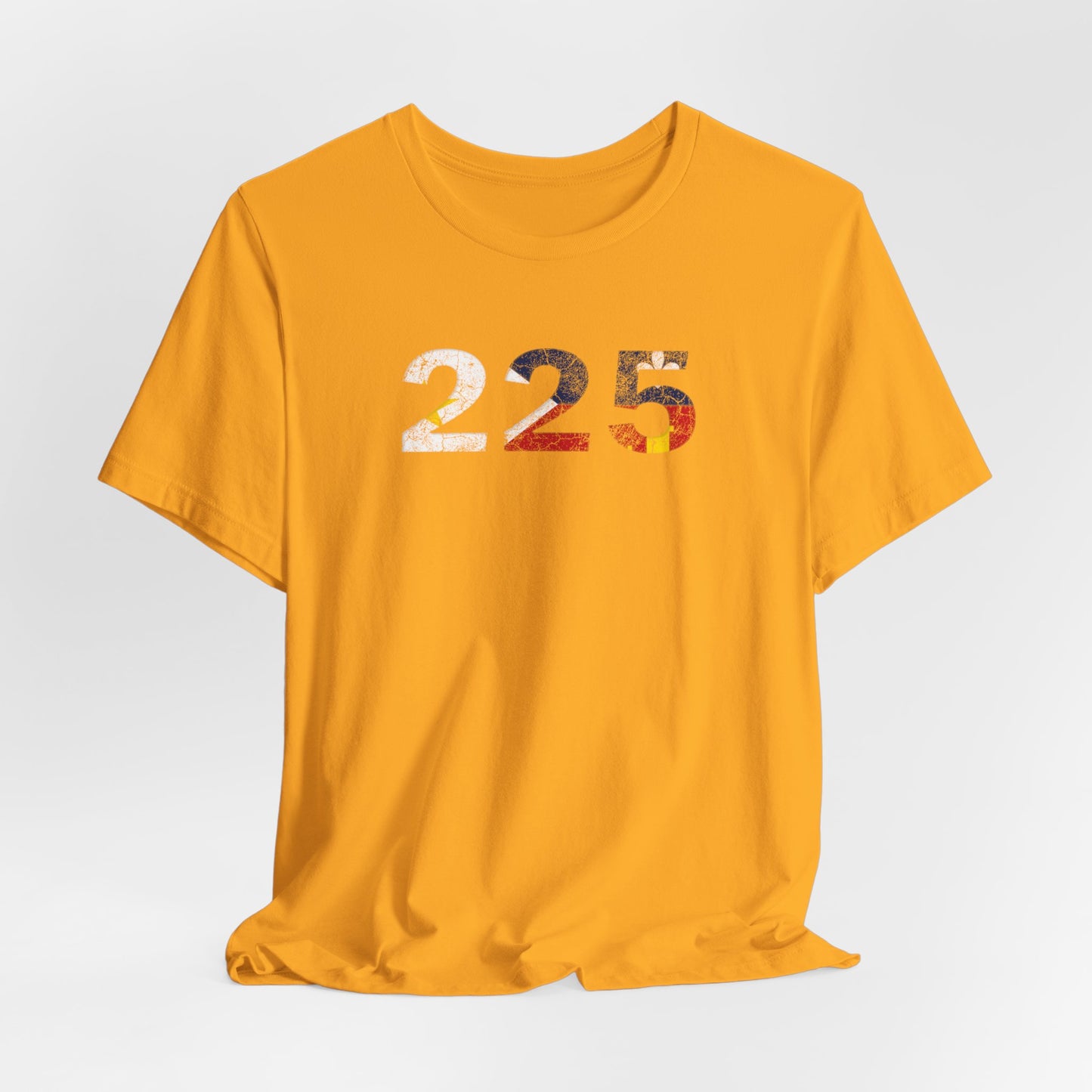 Cajun Flag 225 Area Code T-Shirt