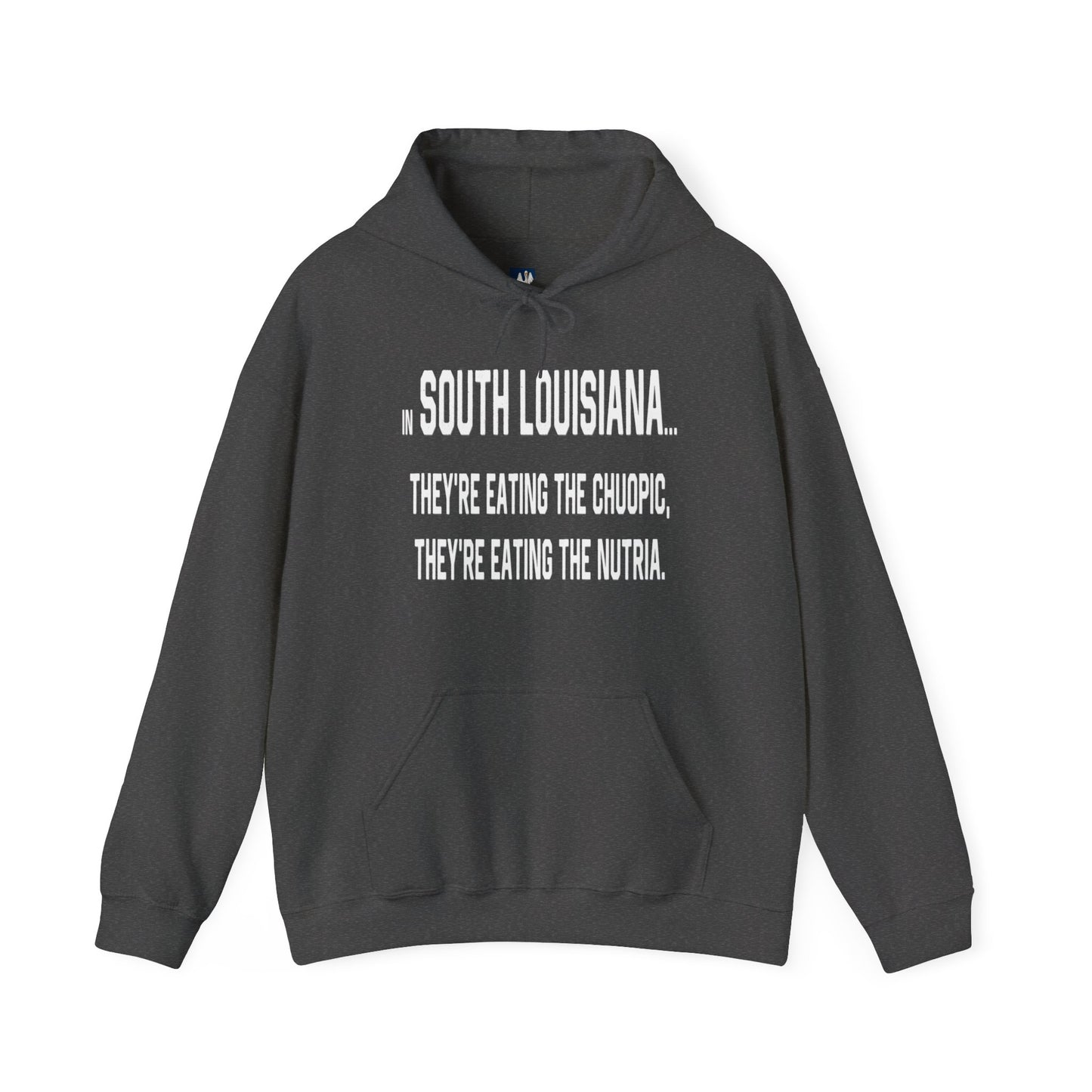 Cajuns, They're Eating the Choupic Hoodie