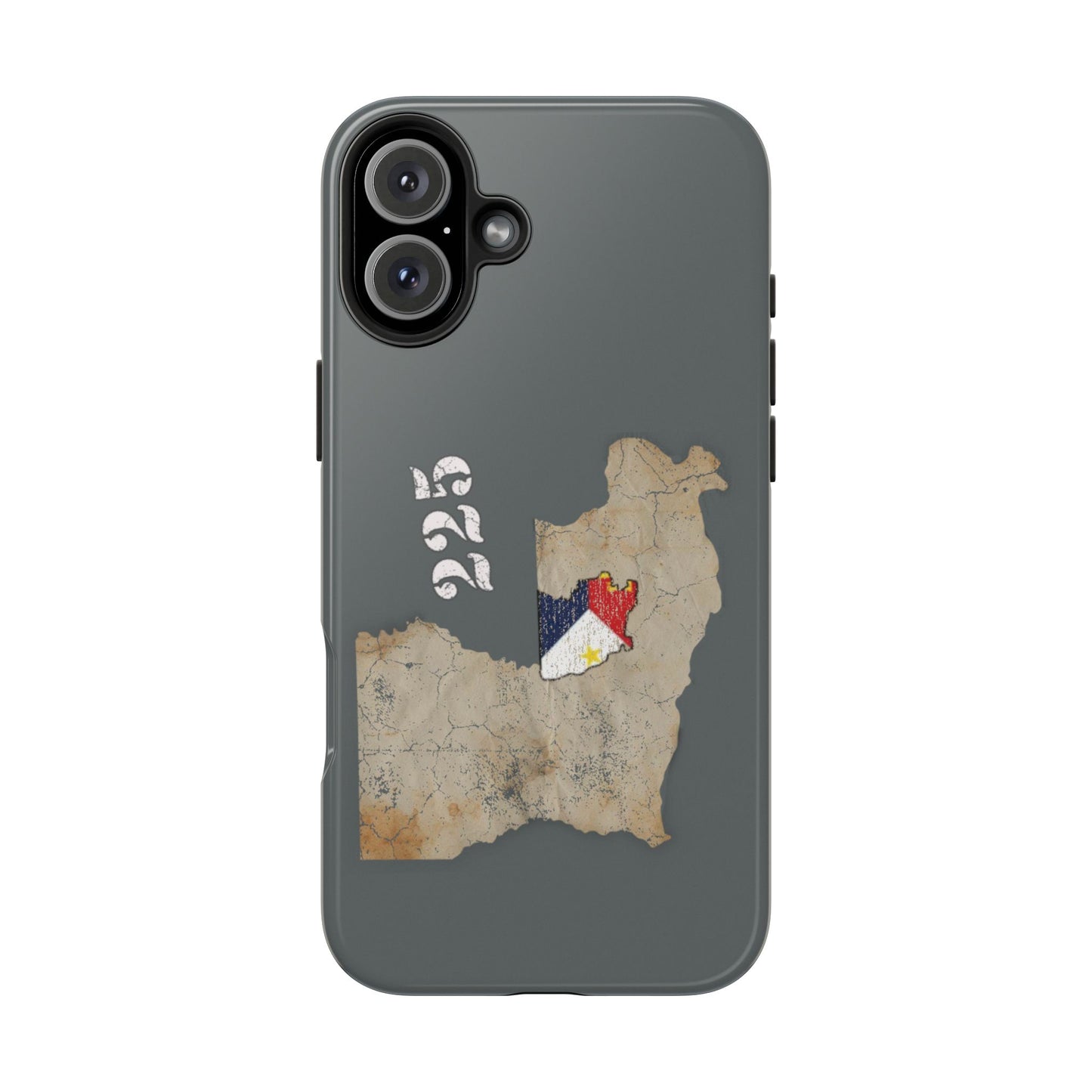 Area Code 225 Cajun Phone Case