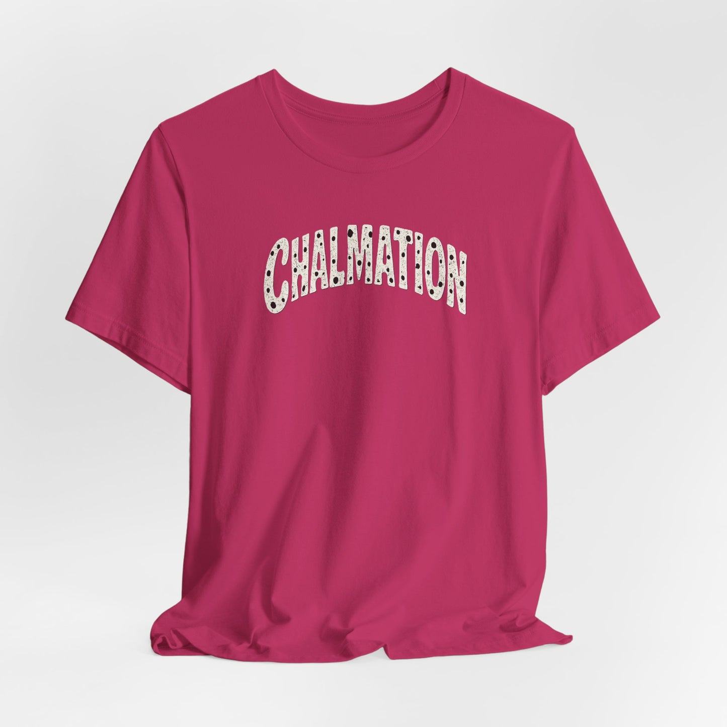 south-of-interstate-10-cajun-store-chalmation-cajun-t-shirt