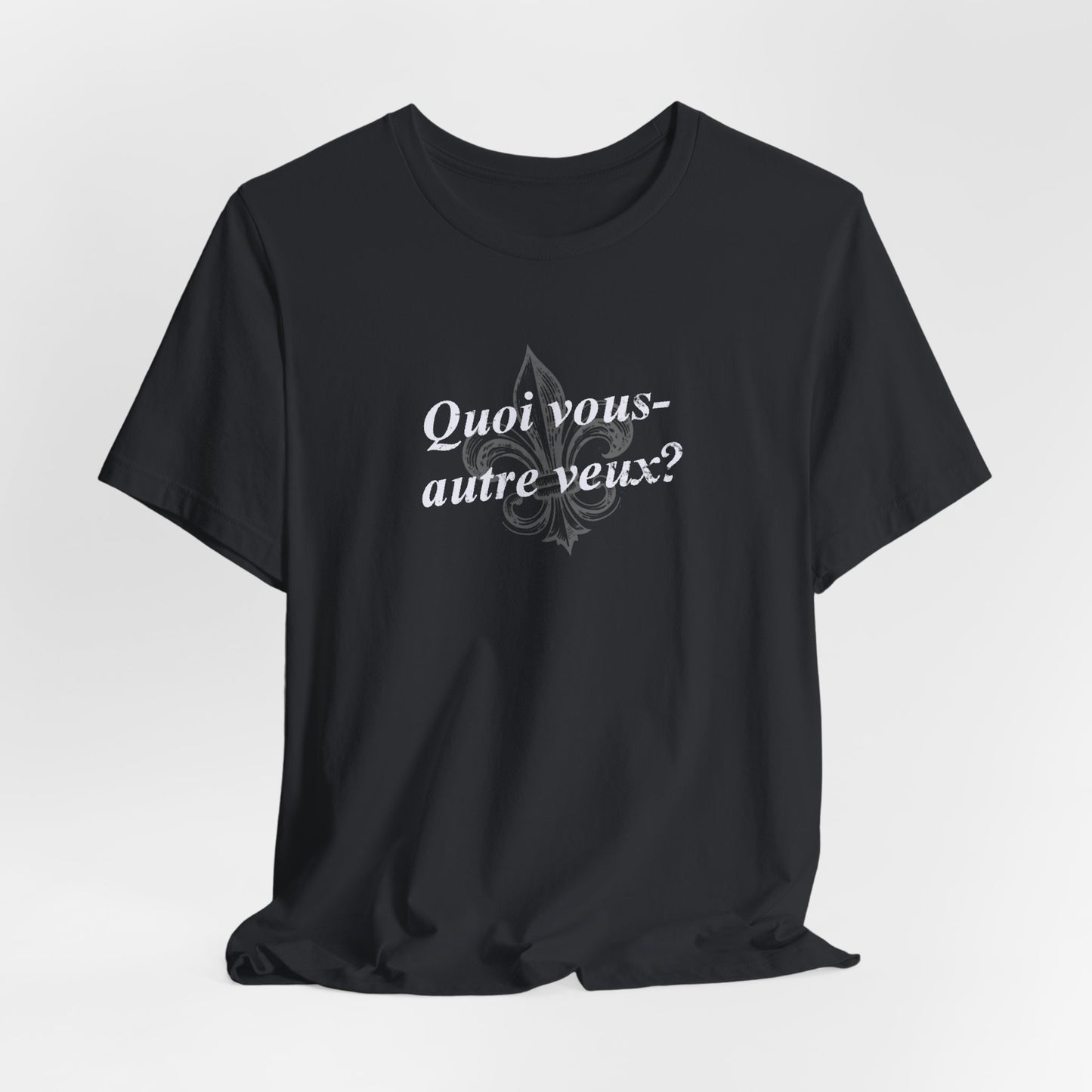 Quoi vous-autre veux? (What do y'all want?) Cajun French T-Shirt