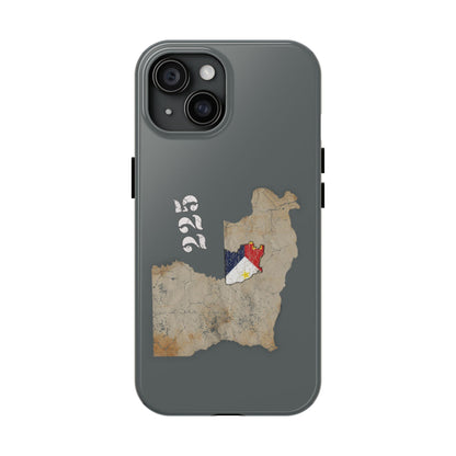Area Code 225 Cajun Phone Case