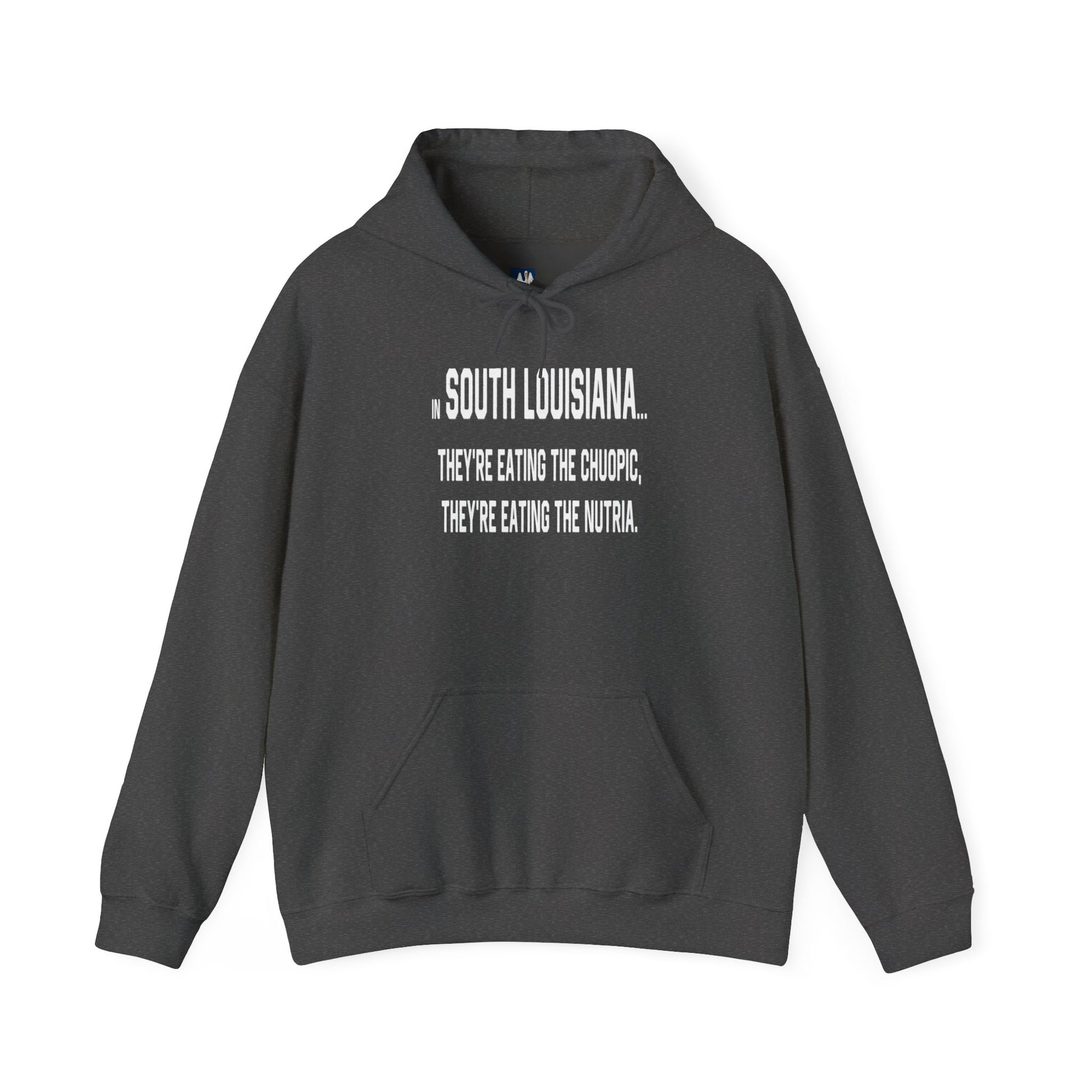 south-of-interstate-10-cajun-store-cajuns-are-eating-the-choupic-cajun-hoodie