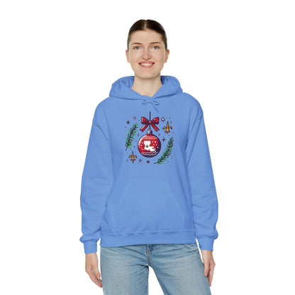 Louisiana Ornament Cajun Hoodie