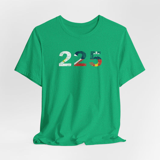 Cajun Flag 225 Area Code T-Shirt