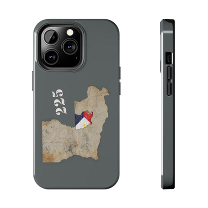 Area Code 225 Cajun Phone Case