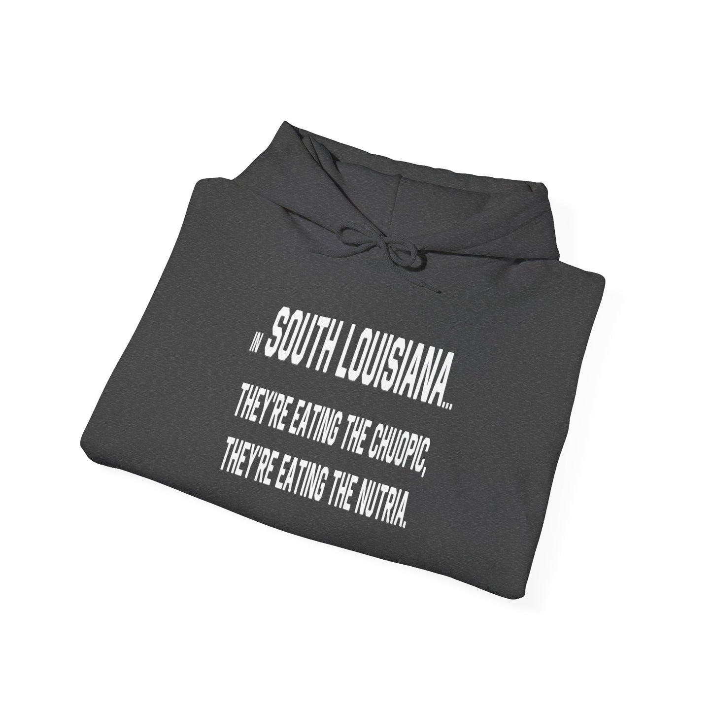 south-of-interstate-10-cajun-store-cajuns-are-eating-the-choupic-cajun-hoodie