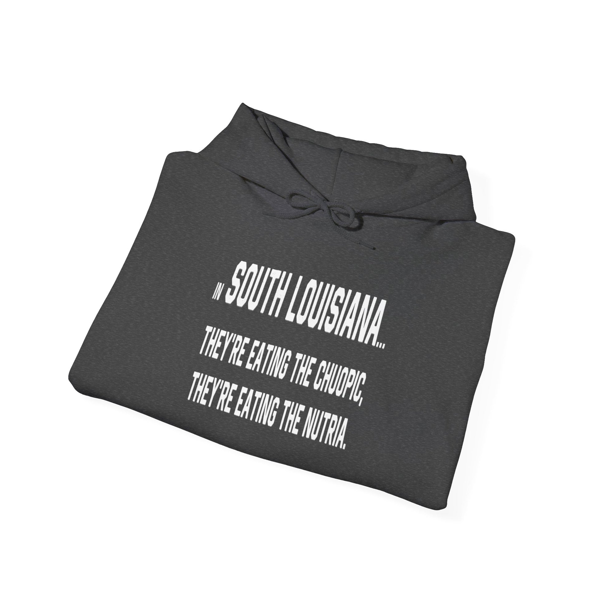 south-of-interstate-10-cajun-store-cajuns-are-eating-the-choupic-cajun-hoodie