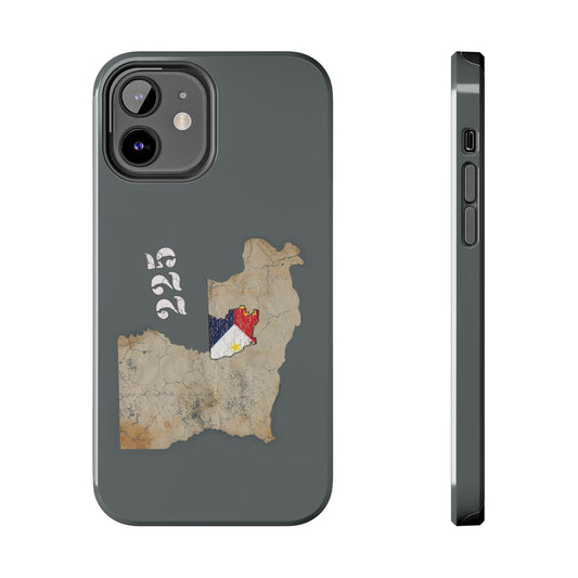 Area Code 225 Cajun Phone Case